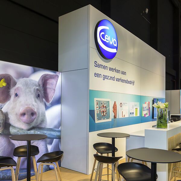 Ceva